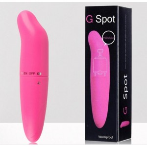 Mini Vibrador Delfín Clítoris Punto G